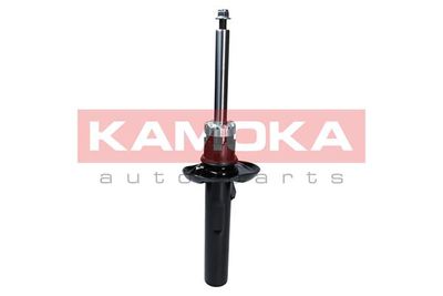 Shock Absorber 2000446