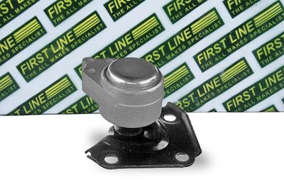 окачване, двигател FIRST LINE FEM4095