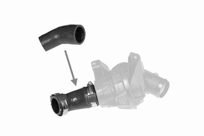 FURTUN EAR SUPRAALIMENTARE