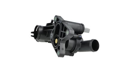 TERMOSTAT LICHID RACIRE NRF 725179 45