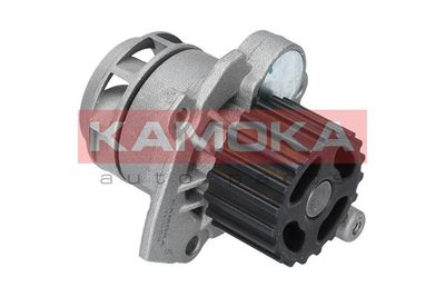 Water Pump, engine cooling T0253