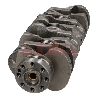 ARBORE COTIT ASHIKA 18NS000 1