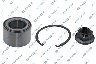 SET RULMENT ROATA GSP GKX0192