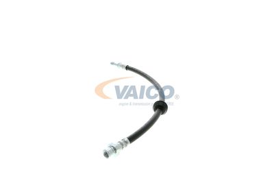 FURTUN FRANA VAICO V204107 14