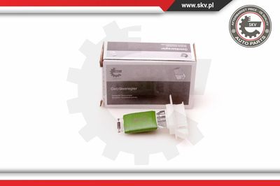 ESEN SKV 94SKV051 Вентилятор салона  для FIAT PUNTO (188_) 1.9 JTD