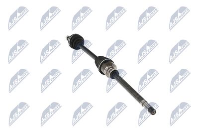 PLANETARA NTY NPWPE124 31