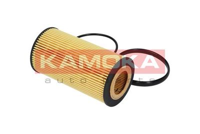 Oil Filter F115101