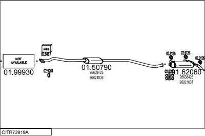 SISTEM DE ESAPAMENT MTS CITR73919A002151