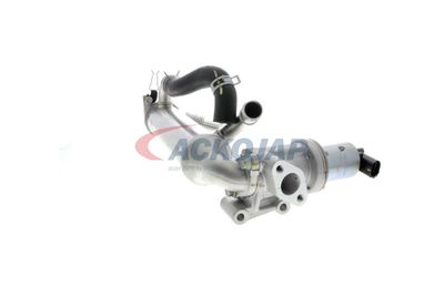 MODUL-EGR ACKOJA A52630018 45