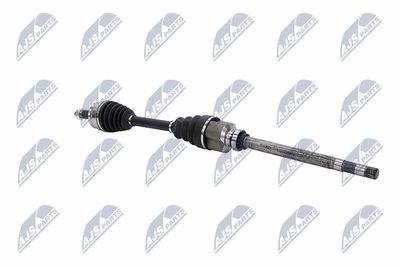 PLANETARA NTY NPWCT183 29