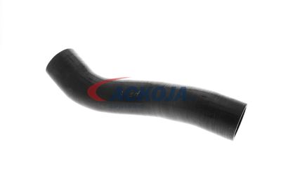 FURTUN EAR SUPRAALIMENTARE ACKOJA A389605 38