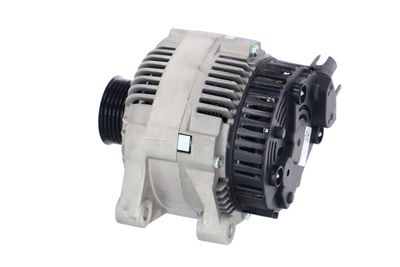 GENERATOR / ALTERNATOR REMANTE 011003000010R 17