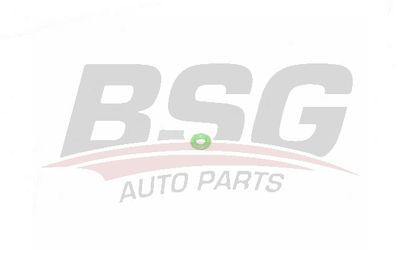 BSG BSG 30-995-050 Топливный шланг для DAEWOO LEGANZA
