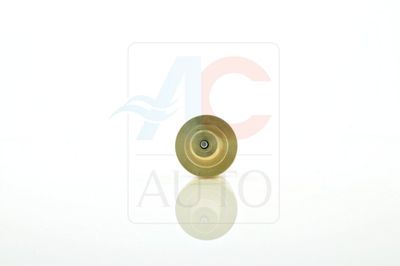 SUPAPA REGULATOARE COMPRESOR ACAUTO AC02SD13 2