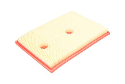 FILTRU AER AMC Filter FAF10999 25