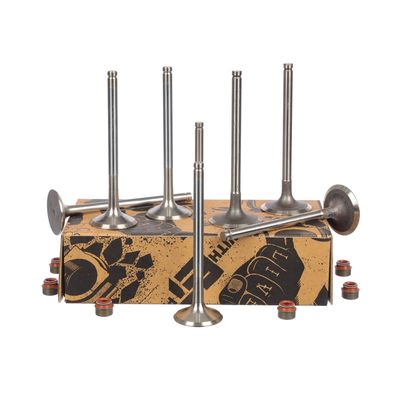 SET SUPAPE SUPAPă ADMISIE/EVACUARE ET ENGINETEAM VS0023VR1 6