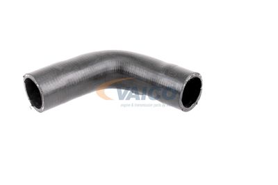 KüHLERSCHLAUCH VAICO V401343 16