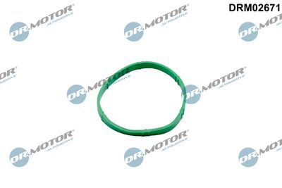 Uszczelka, króciec przepustnicy DR.MOTOR AUTOMOTIVE DRM02671