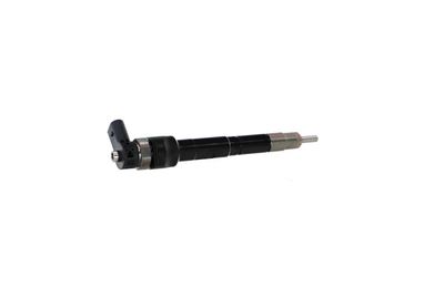 INJECTOR REMANTE 002003001489R 34