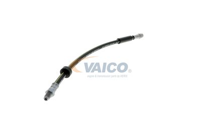 FURTUN FRANA VAICO V461009 51