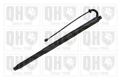 MOTOR ELECTRIC HAION