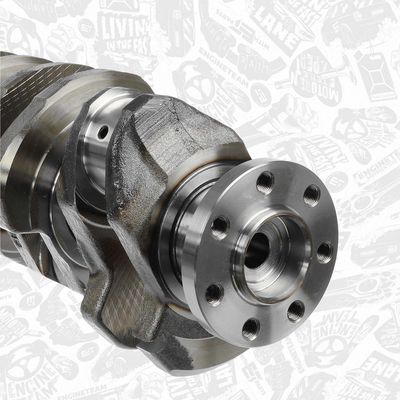 ARBORE COTIT ET ENGINETEAM HK0165 4