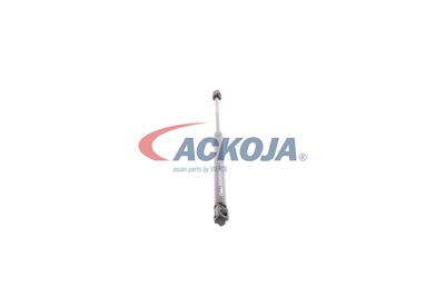 AMORTIZOR PORTBAGAJ ACKOJA A380164 49