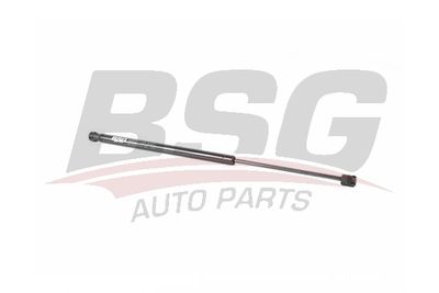 BSG BSG 90-980-076 Амортизатор багажника и капота для AUDI Q2