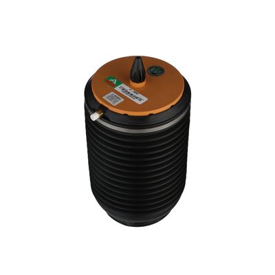 LUFTFEDER FAHRWERK Arnott A3892 55