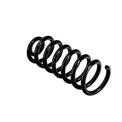 ARC SPIRAL EIBACH R10602 10