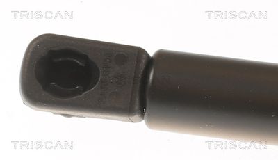 AMORTIZOR PORTBAGAJ TRISCAN 8710112019 1