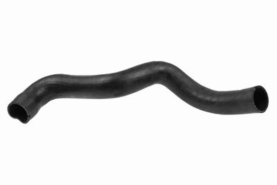 FURTUN EAR SUPRAALIMENTARE