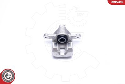 Brake Caliper 42SKV464