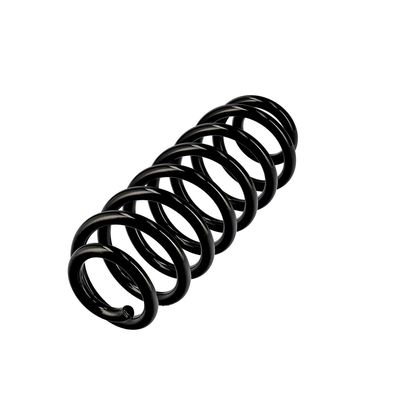 ARC SPIRAL EIBACH R10701 3