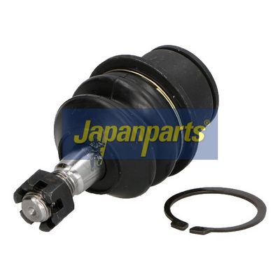JAPANPARTS Šarnyras / girgždukas