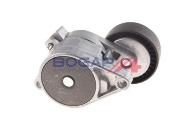 INTINZATOR CUREA CUREA DISTRIBUTIE BOGAP B1317113 3