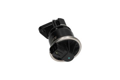 SUPAPA EGR Kavo Parts EEG2006 9