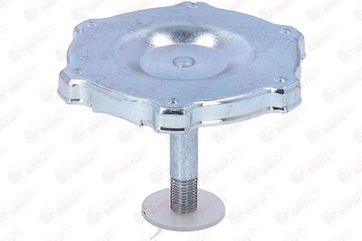 BUSON UMPLERE ULEI BIRTH 8081 2