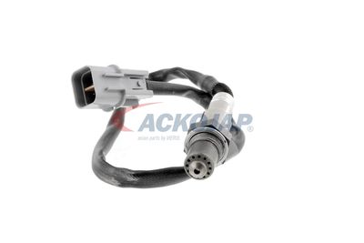 SONDA LAMBDA ACKOJA A53760012 16
