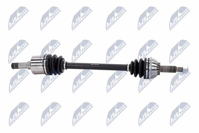 PLANETARA NTY NPWFR031 8