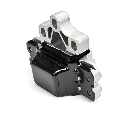 LAGERUNG MOTOR DELPHI TEM256 5