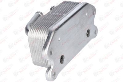 RADIATOR ULEI ULEI MOTOR BIRTH 80289 5
