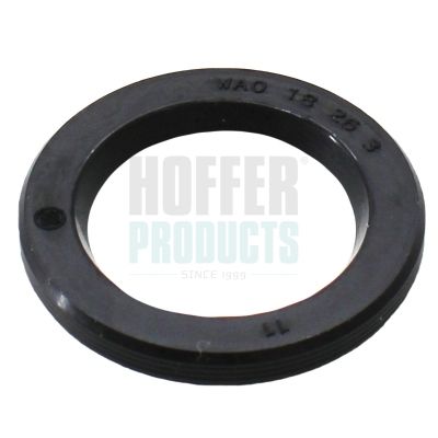 CHIT REPARATIE INJECTOARE HOFFER 98527