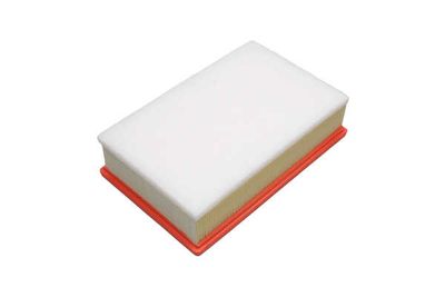 FILTRU AER AMC Filter FAF10813 19