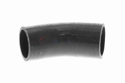 FURTUN EAR SUPRAALIMENTARE ACKOJA A389604 2