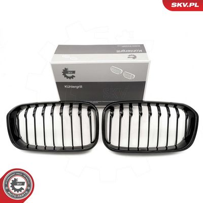 GRILA RADIATOR ESEN SKV 66SKV020 9
