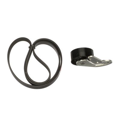 SET CUREA TRANSMISIE CU CANELURI GATES K025PK1133 61