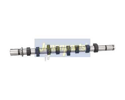 разпределителен вал JAPANPARTS AA-RE002