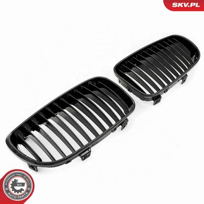 GRILA RADIATOR ESEN SKV 66SKV006 1