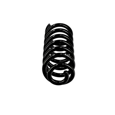 ARC SPIRAL EIBACH R10602 1